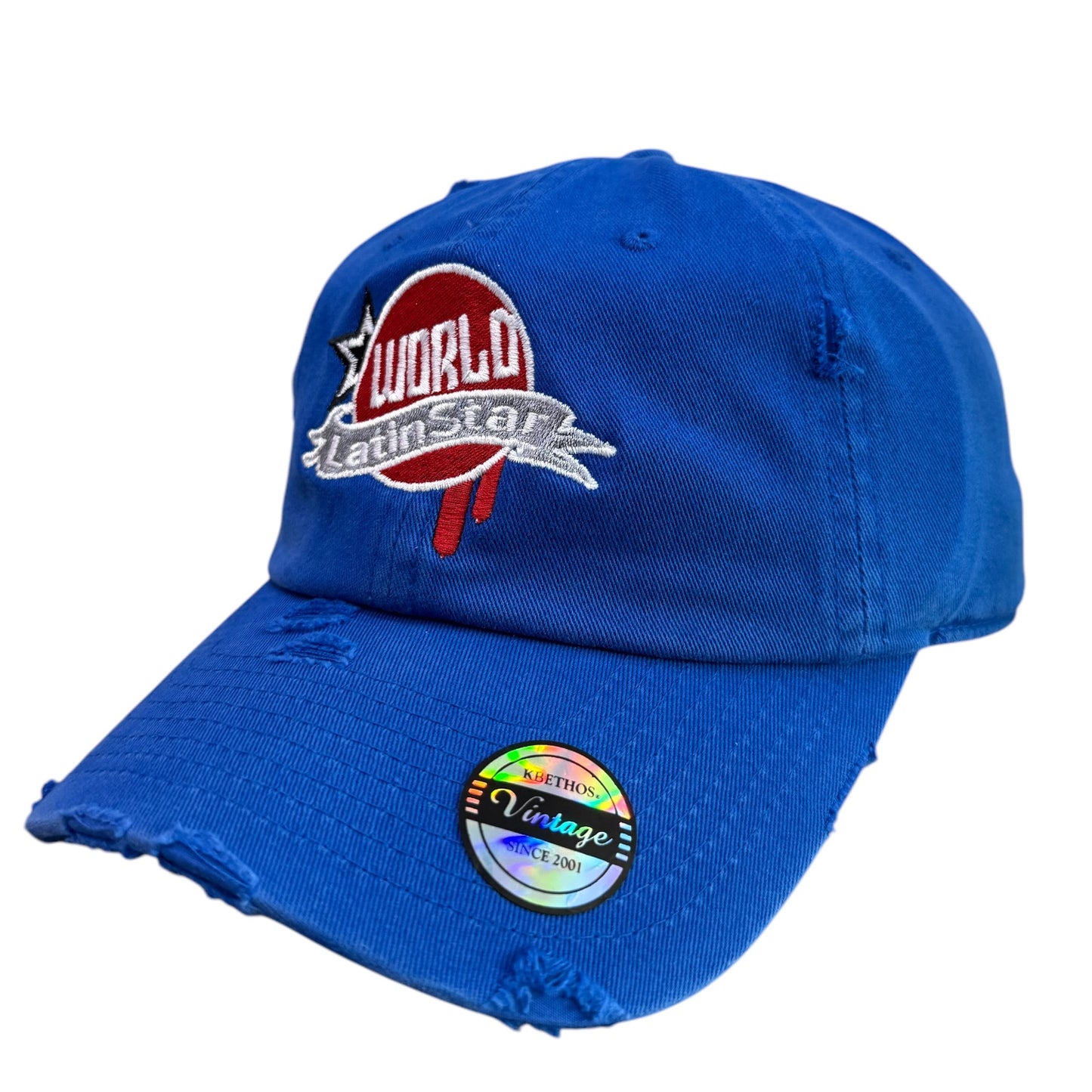 WLS Blue Dad Hat