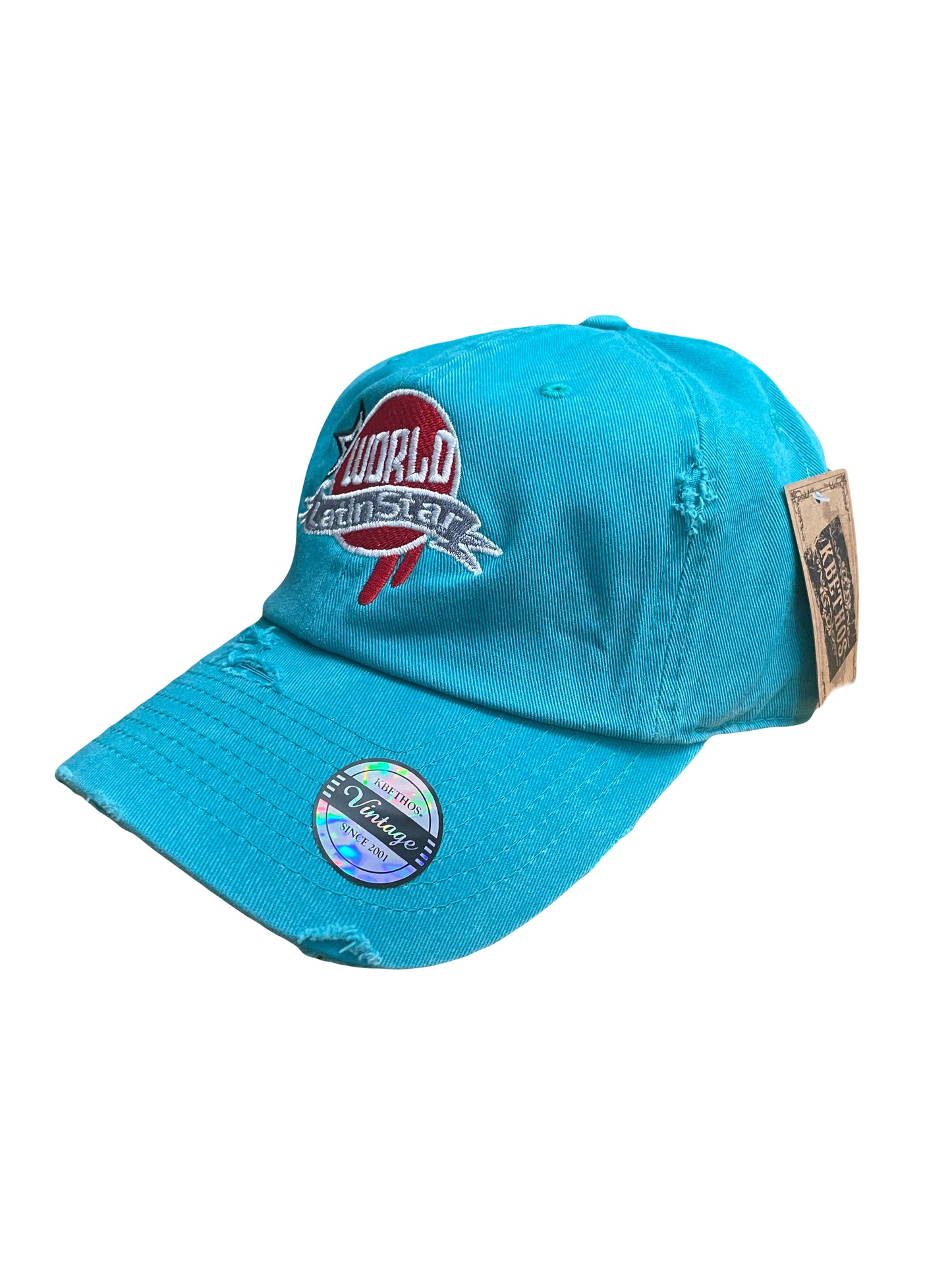 WLS Deep Sky Blue Dad Hat