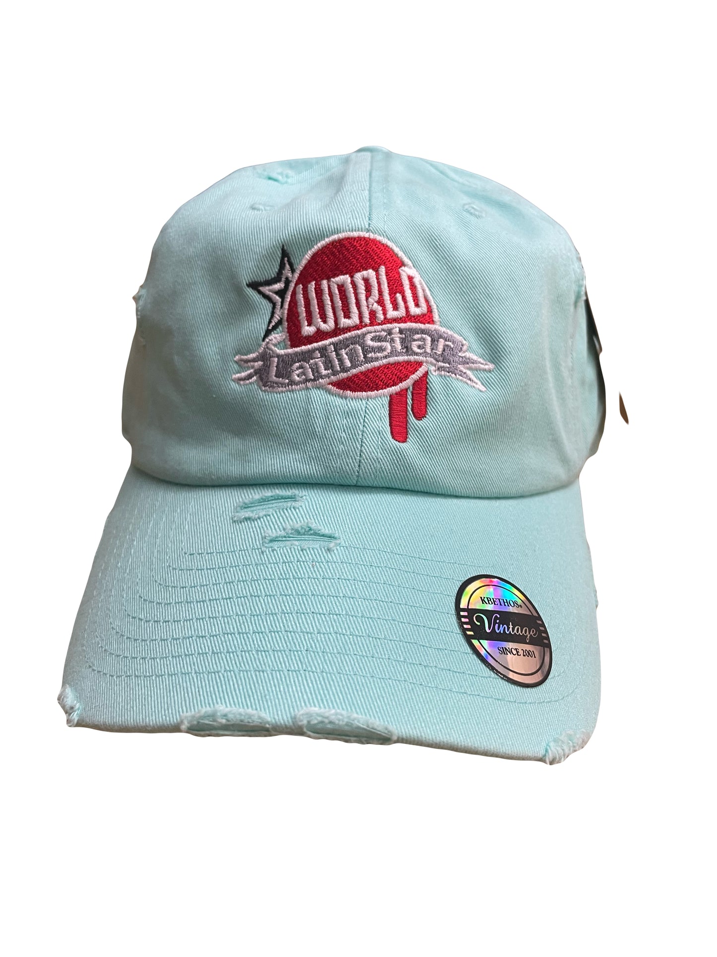 WLS Light Baby Blue Dad Hat