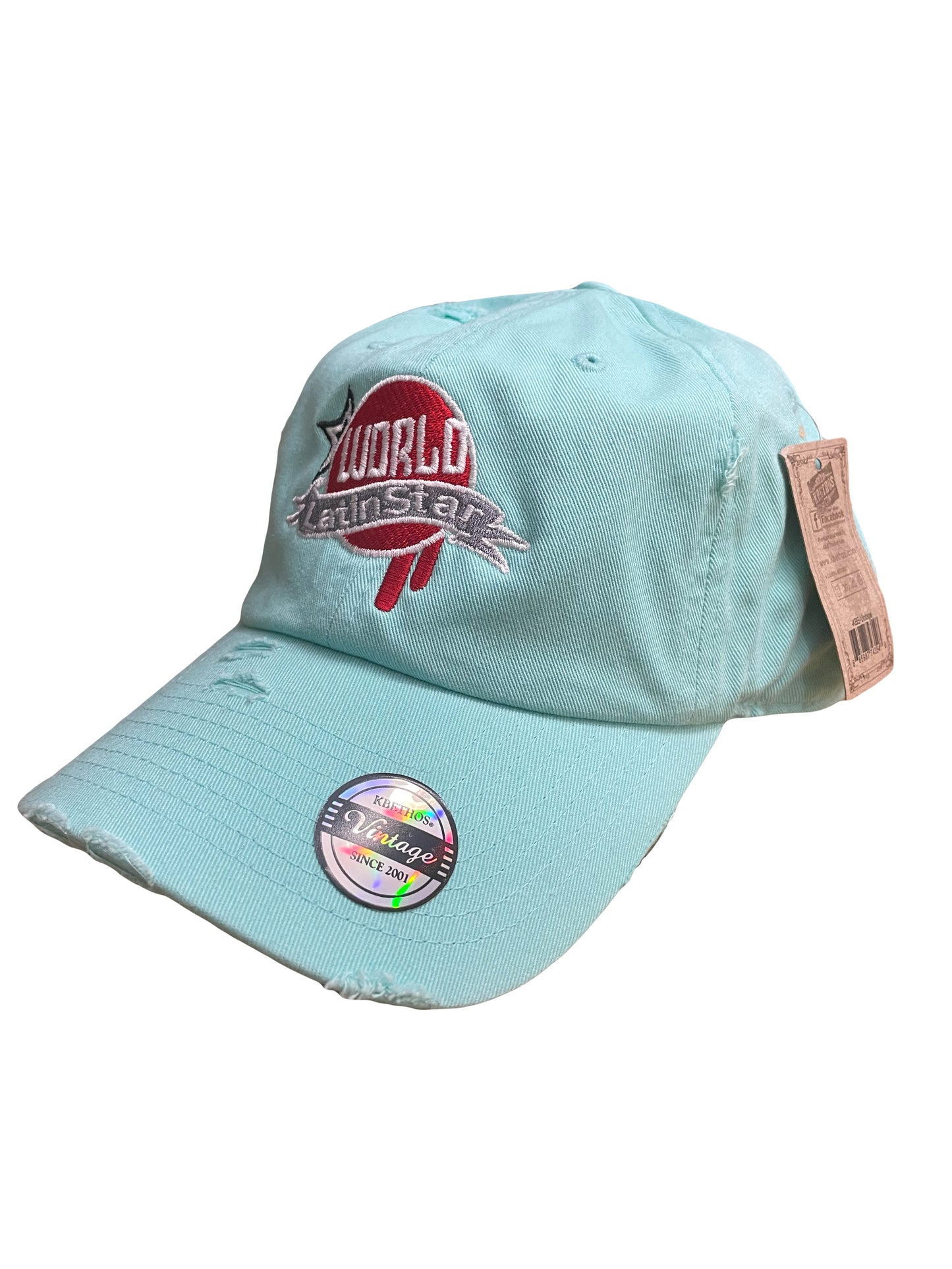 WLS Light Baby Blue Dad Hat