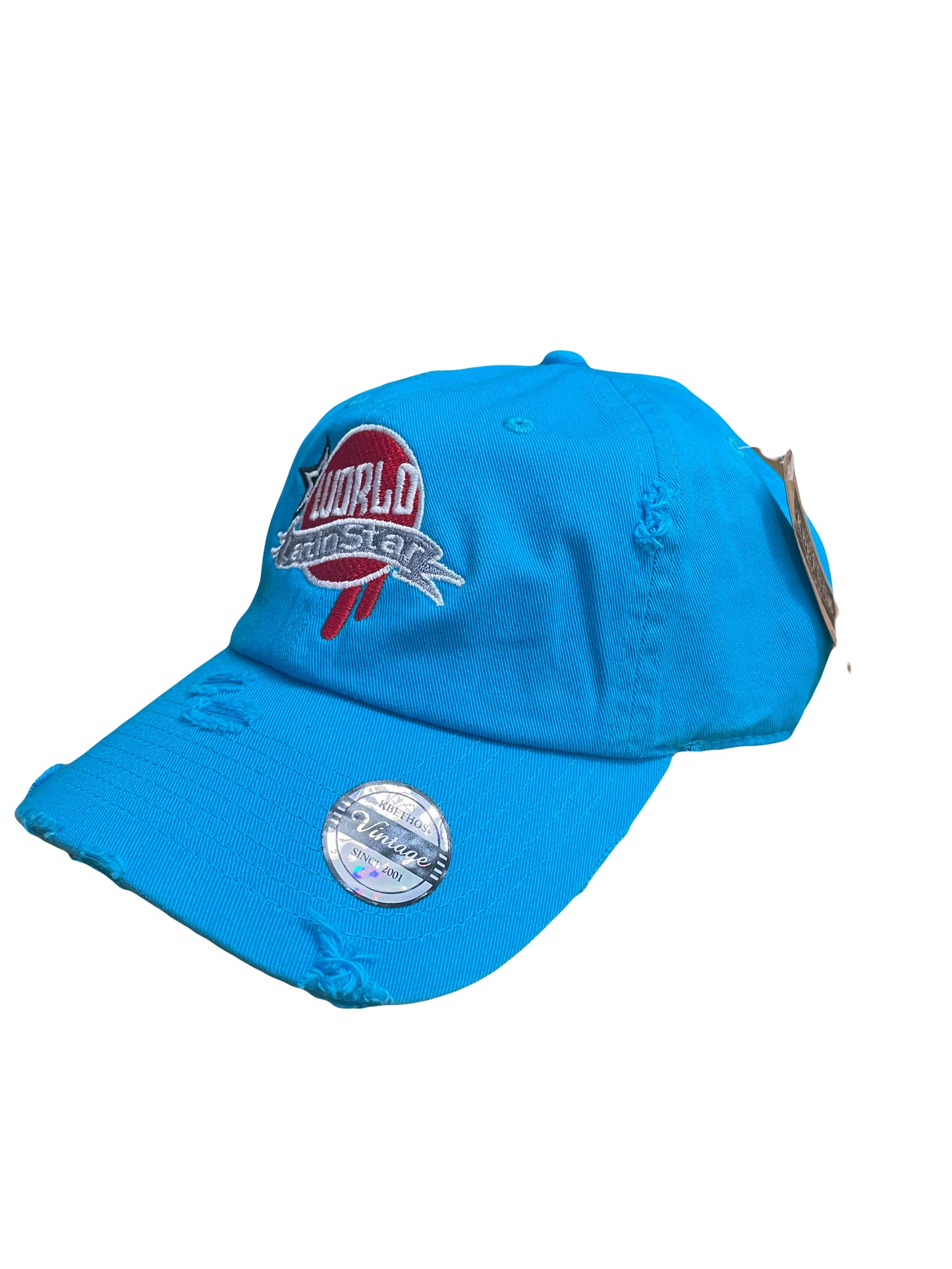 WLS Sky Blue Dad Hat